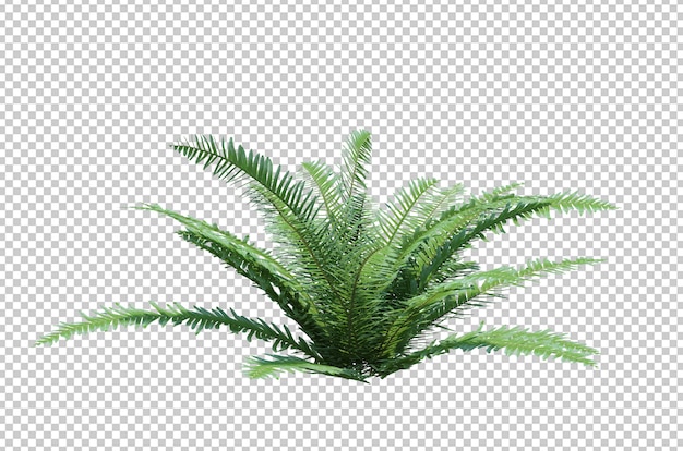 PSD arbre de brosse de rendu 3d isolé