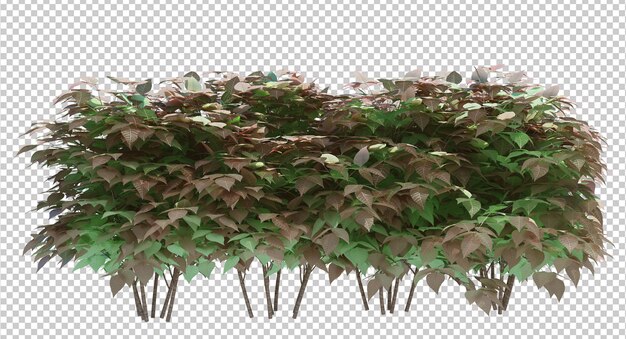 Arbre De Brosse De Rendu 3d Isolé