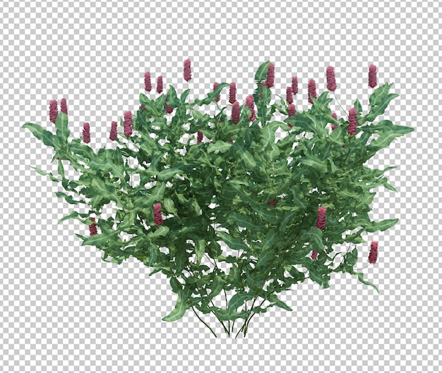 PSD arbre de brosse de rendu 3d isolé