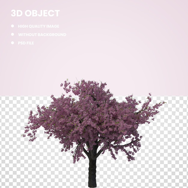 PSD arbre à cerise