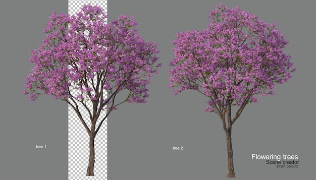 Un Arbre Avec Des Fleurs De Différentes Couleurs.