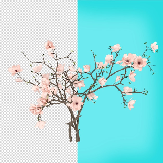 Arbre Fleurs Rendu 3d