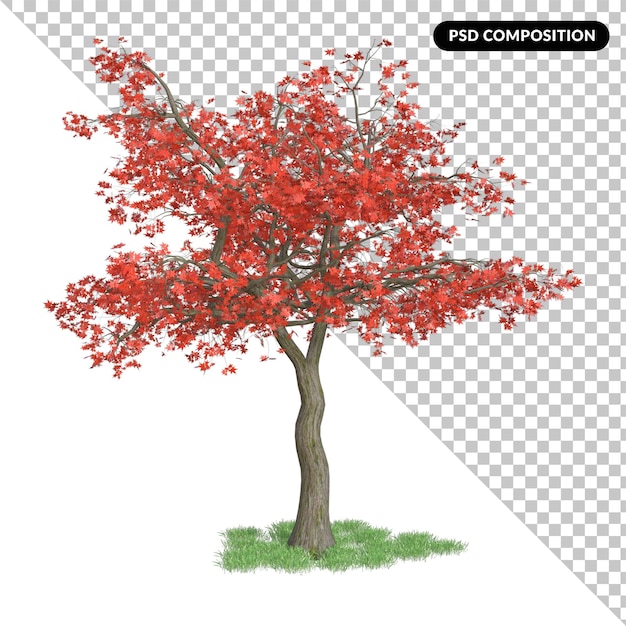 PSD arbre isolé 3d