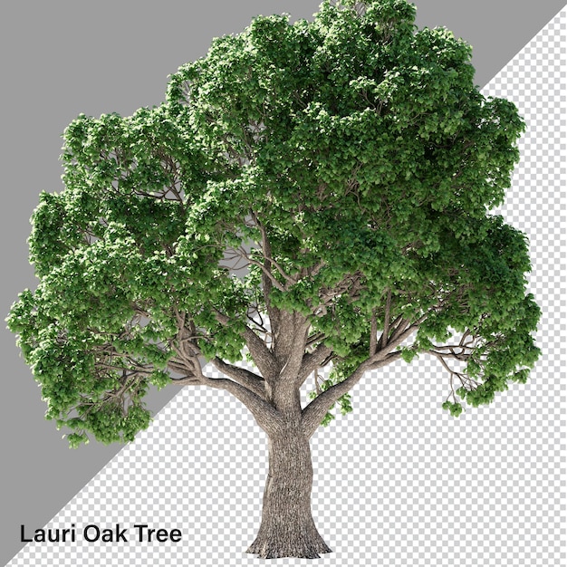 PSD arbre isolé haute résolution psd transparent avec canal alpha