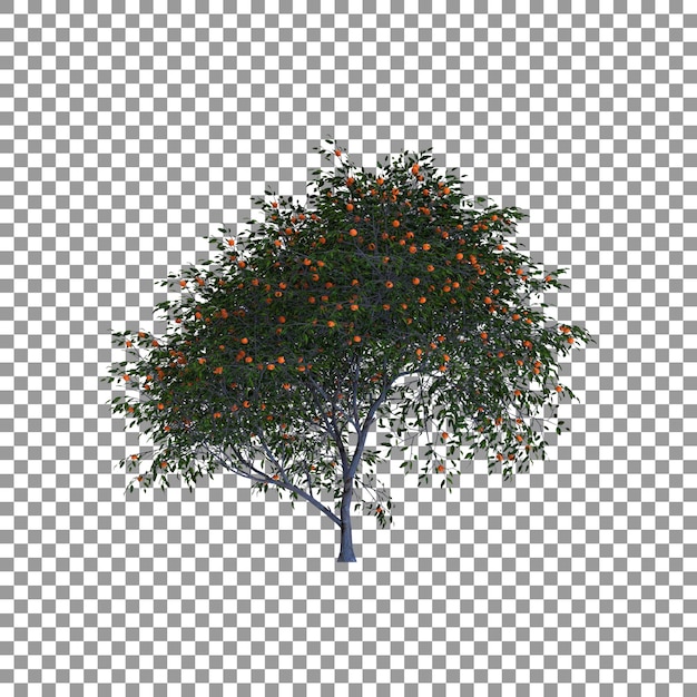 PSD arbre de mandarines 3d isolé sur fond transparent