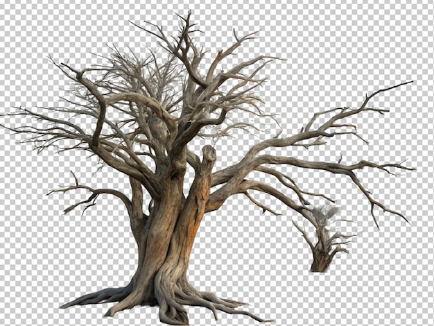 PSD arbre mort