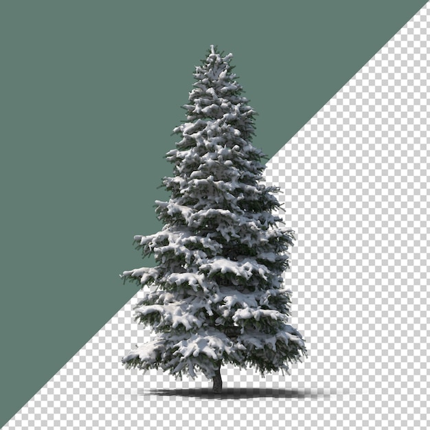 PSD arbre de noël avec de la neige