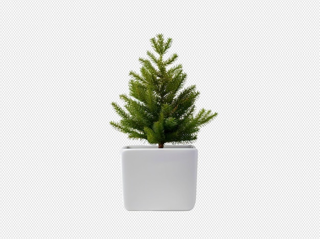 Arbre De Noël En Pot