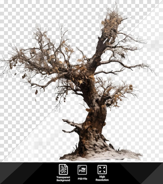 Arbre D'objet D'hiver Dans La Neige Fond Transparent Clipart Png