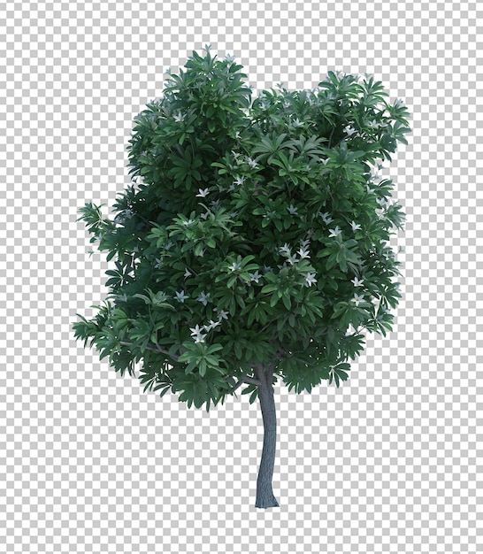 Arbre D'objet Nature Rendu 3d Isolé