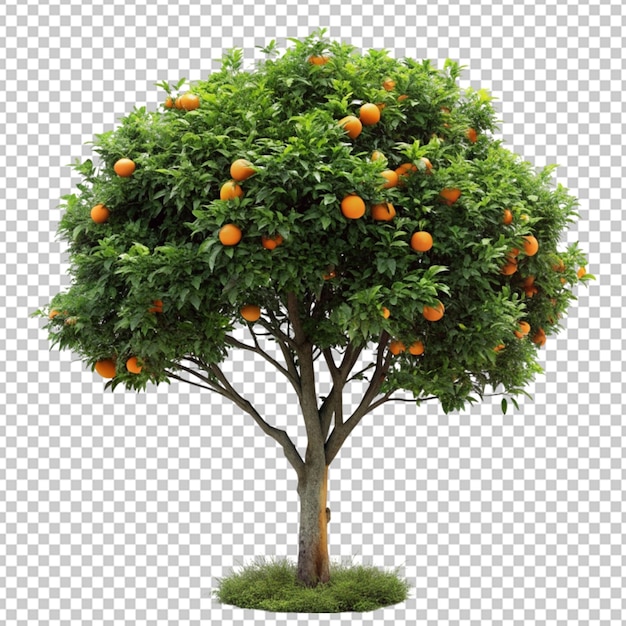 PSD arbre orange modélisation 3d fichier psd réaliste