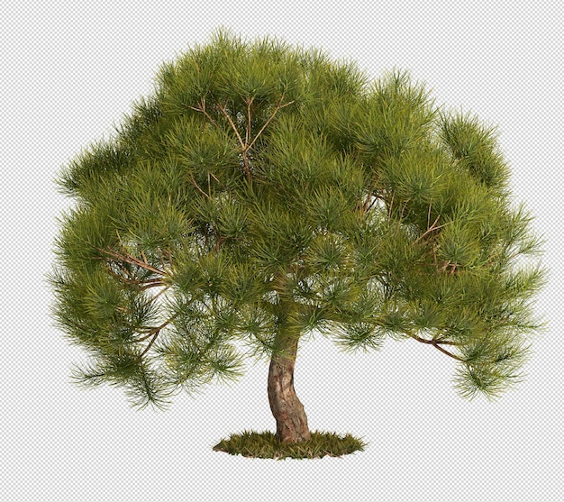 un arbre avec un pin vert au milieu