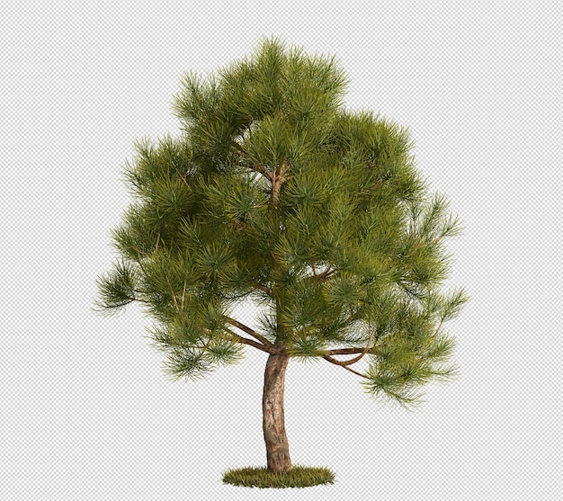 un arbre avec une plante verte et un fond blanc