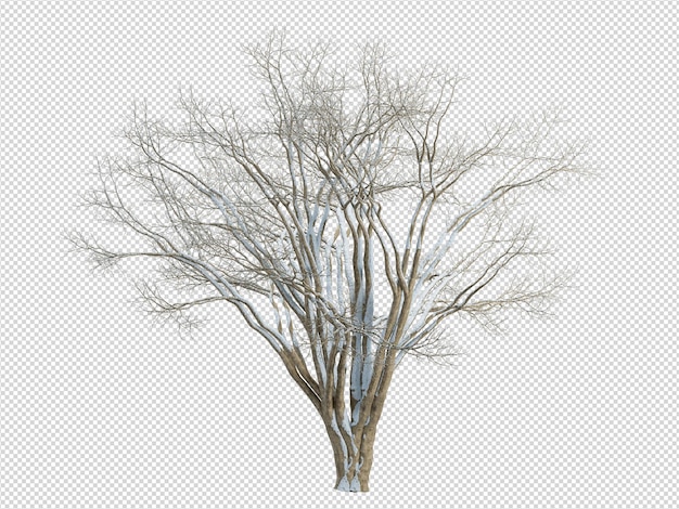 PSD arbre png branches sèches cy ma ng chemin de détourage nature arbres sans feuilles arbres à feuilles caduques