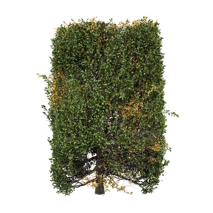 PSD un arbre avec un signe qui dit le mot dessus