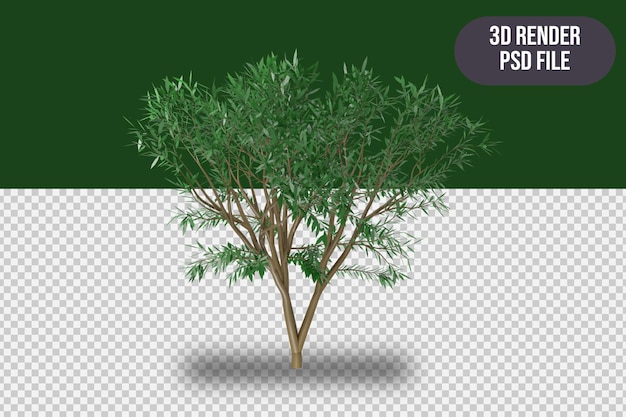 Arbre Simple De Rendu 3d