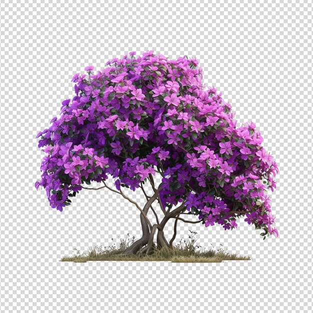 PSD un arbre violet avec des fleurs violettes dessus