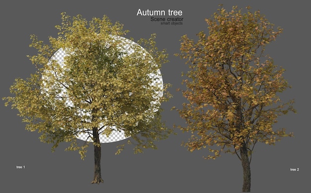 PSD arbres d'automne de différentes formes