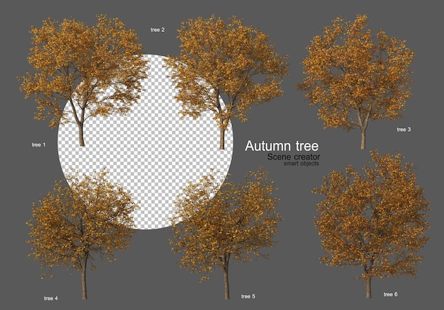 Arbres d'automne divers types de nombreuses formes