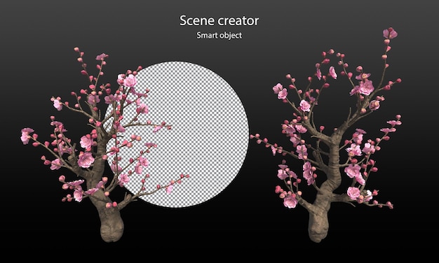 PSD arbres de fleurs de cerisier et branches isolées chemin de détourage sakura