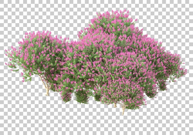 PSD arbres avec des fleurs sur fond transparent illustration de rendu 3d