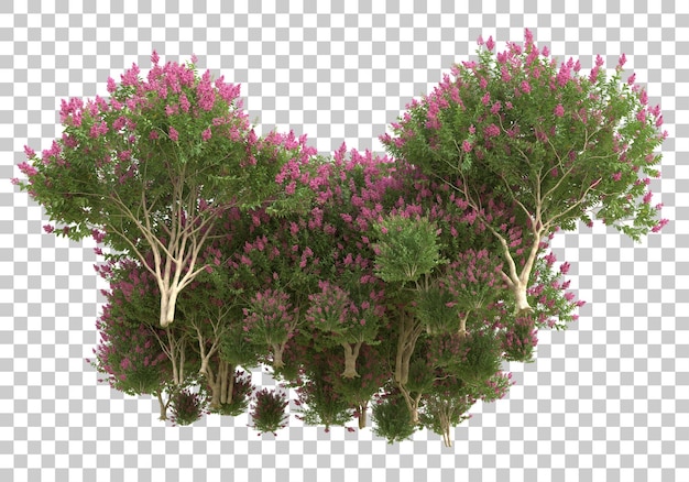 PSD arbres avec des fleurs sur fond transparent illustration de rendu 3d