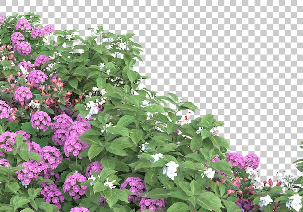 PSD arbres avec des fleurs sur fond transparent illustration de rendu 3d