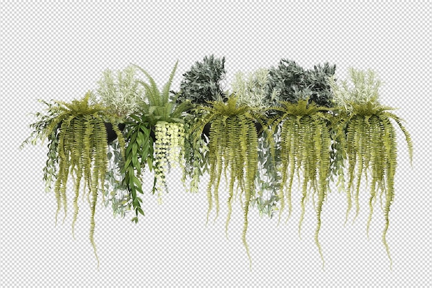 PSD arbres et fleurs tropicaux en rendu 3d isolé