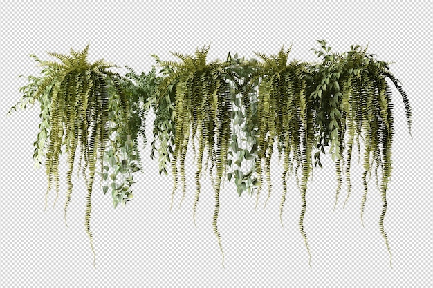 PSD arbres et fleurs tropicaux en rendu 3d isolé