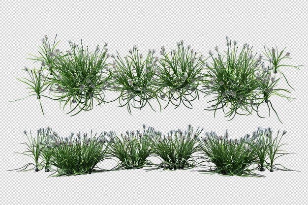 Arbres et fleurs tropicaux en rendu 3d isolé
