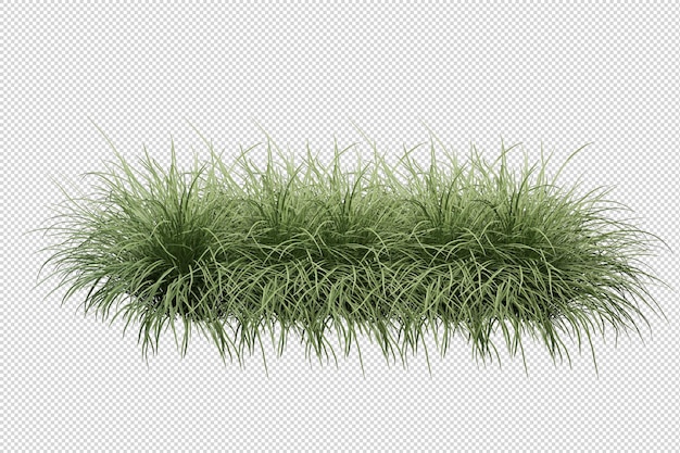 Arbres et fleurs tropicaux en rendu 3d isolé