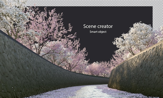 PSD arbres de sakura le long d'un chemin de détourage de la rivière arbres de fleurs de cerisier sur la rivière isolés