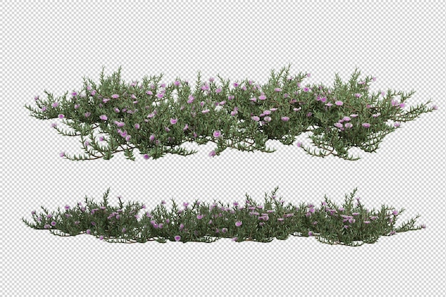 Arbres Tropicaux Et Fleurs En Rendu 3d Isolés