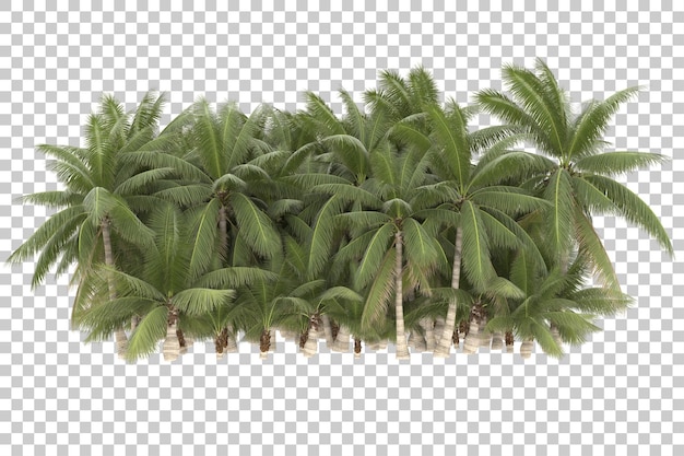 Arbres Tropicaux Sur Fond Transparent. Rendu 3d - Illustration