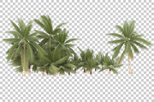 Arbres Tropicaux Sur Fond Transparent. Rendu 3d - Illustration