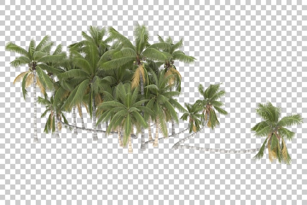 Arbres Tropicaux Sur Fond Transparent. Rendu 3d - Illustration