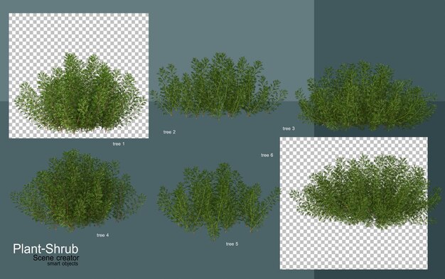 arbusti e alberi di vario tipo