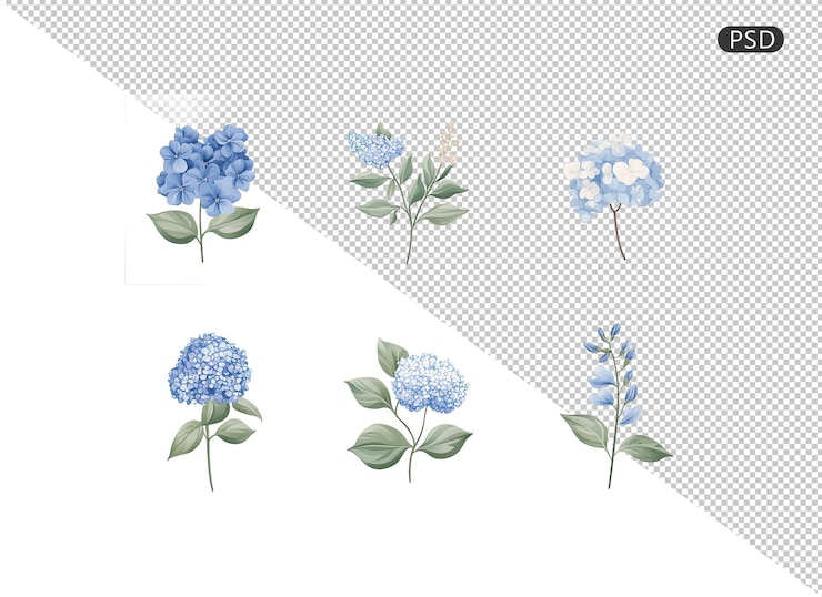 PSD arbusto de hortênsia em flor