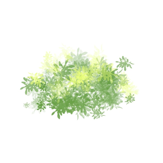 un arbusto de hierba verde psd