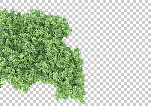 Arbusto verde com ilustração de renderização 3d de fundo transparente