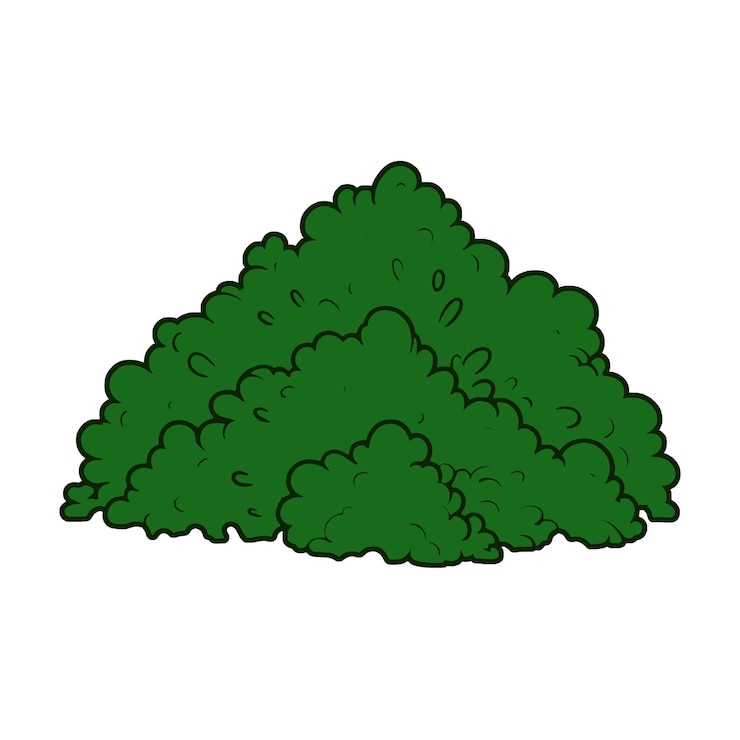 PSD el arbusto verde de dibujos animados