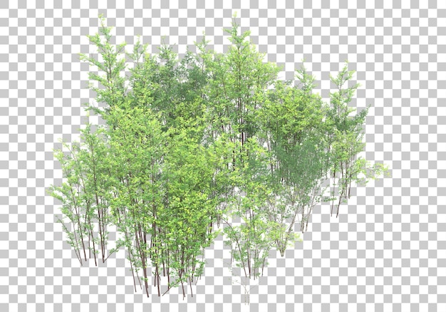 Arbusto verde con ilustración de renderizado 3d de fondo transparente
