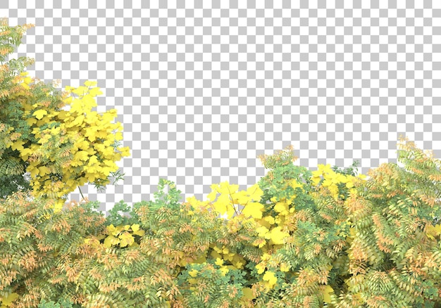 Arbusto verde con ilustración de renderizado 3d de fondo transparente