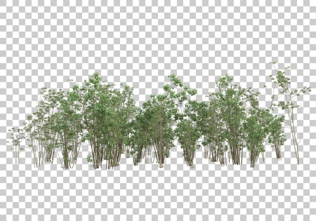 Arbusto verde con ilustración de renderizado 3d de fondo transparente