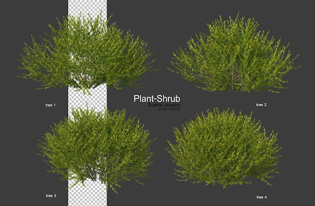 Arbustos e plantas de várias variedades