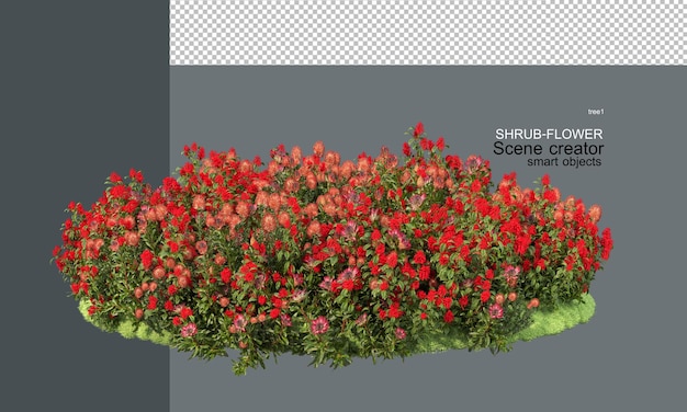 PSD arbustos y flores de varios colores en un pequeño jardín