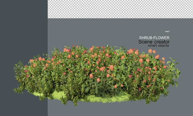 arbustos y flores de varios colores en un pequeño jardín
