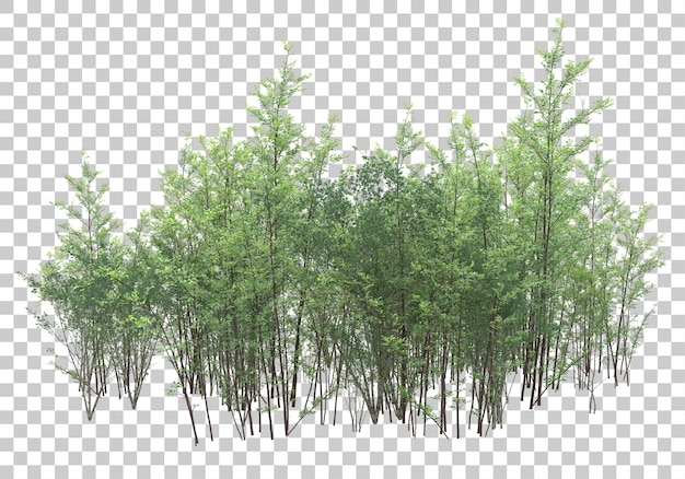 Arbustos verdes na ilustração de renderização 3d de fundo transparente