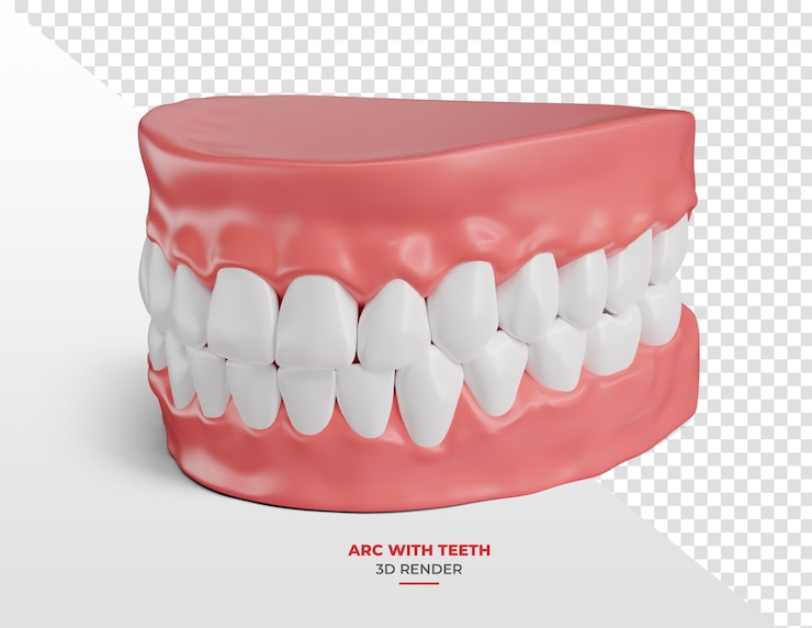 PSD arc dentaire ouvert avec langue en rendu 3d avec fond transparent