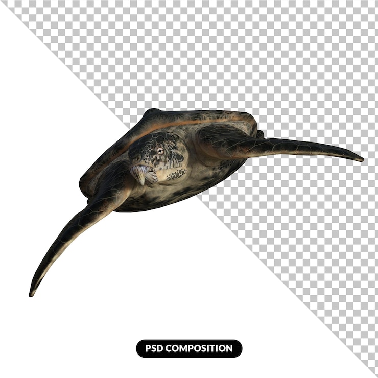 PSD archelon aislado dinosaurio 3d render